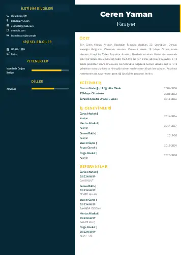 2023’te En Çok Tercih Edilecek CV Örnekleri cv indir